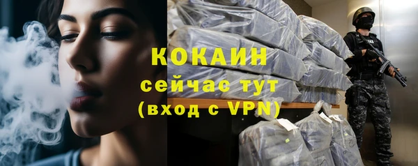 ПСИЛОЦИБИНОВЫЕ ГРИБЫ Липки