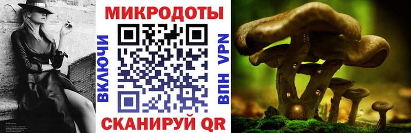 Галлюциногенные грибы Magic Shrooms  дарнет шоп  Ельня 